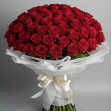 Букет 101 Красная роза Блэк Мэджик в Новохаритоново
