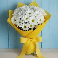 Букет цветов из:  Хризантемы в Новохаритоново