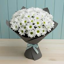 Букет цветов из:  Хризантемы в Новохаритоново