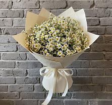 Букет цветов из:  Ромашки в Новохаритоново