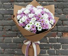 Букет цветов из:  Хризантемы #REPLACE_PRED# Новохаритоново