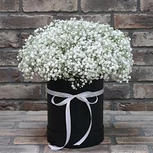 Цветочная композиция из Гипсофила в шляпной коробке в Новохаритоново