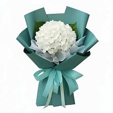 Букет цветов из:  Гортензия в Новохаритоново